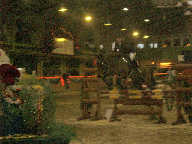 Wpis stables1