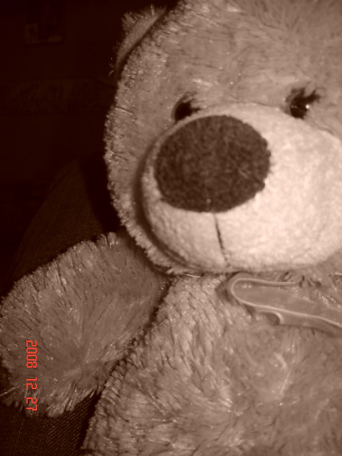 Teddy Bear for friends!!!!!!!