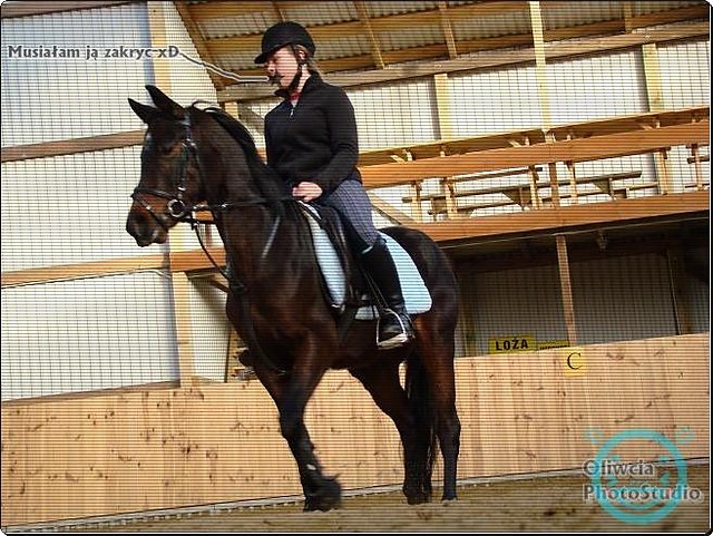 Wpis welikeourhorse