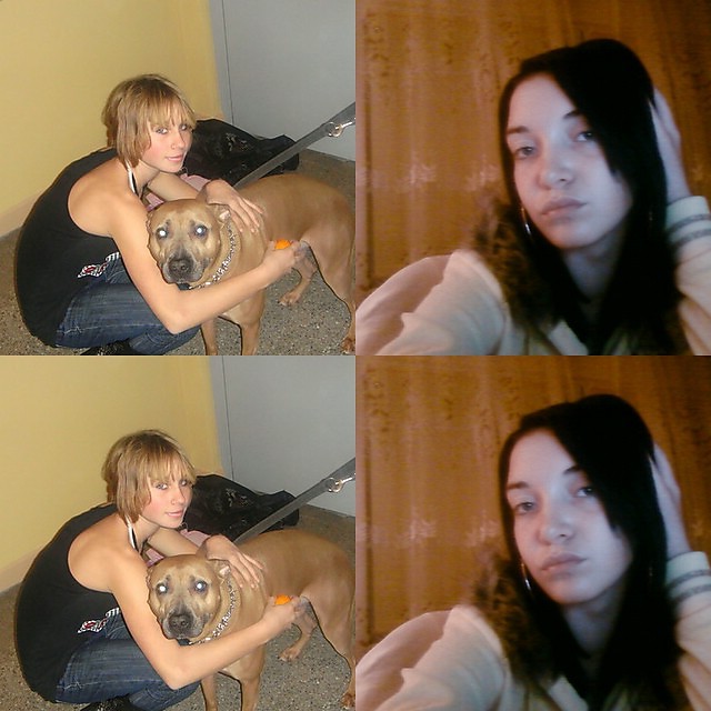 z niu Ma 