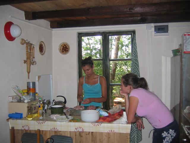 Borek '06