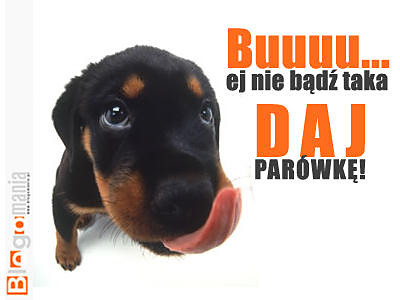 Wpis natka11buziaczki