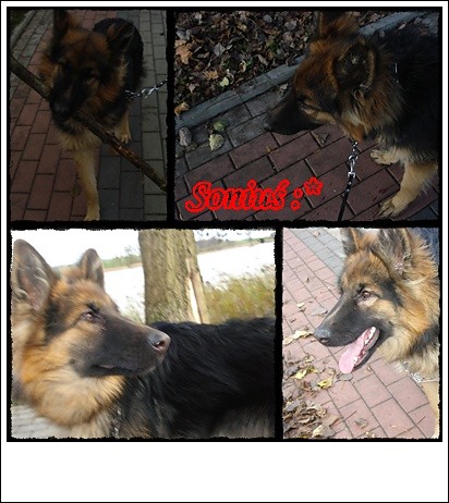 ...Soniu... =**
