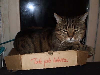 Jabba the Hutt