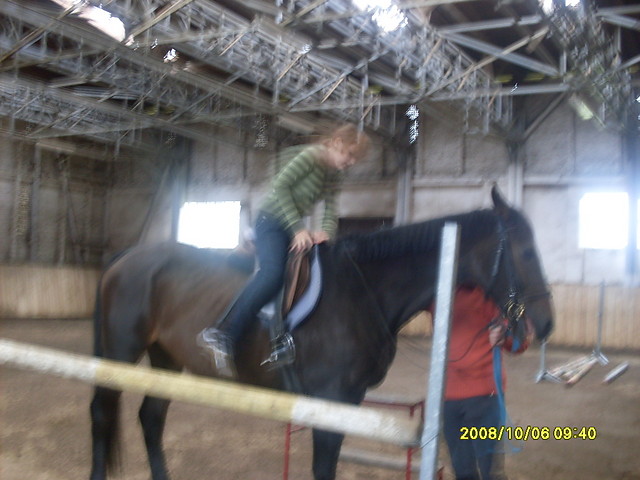 konik