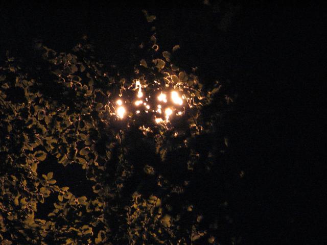 drunkship of lanterns