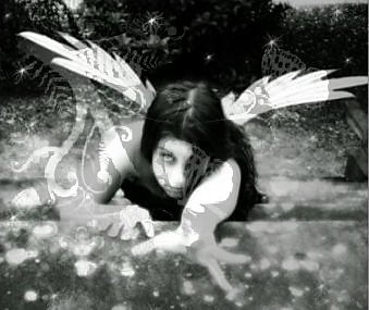 Wpis xoxfallenangelxox