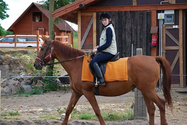 Rok 2009 ! ! ! :)