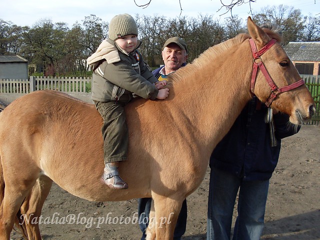 Bartu na koniku :) XI 2008