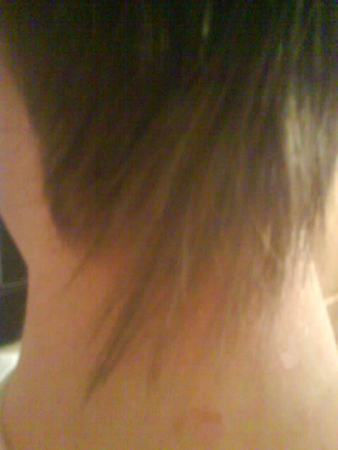 Mullet lol