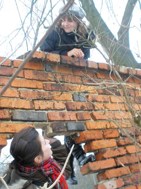 sesion