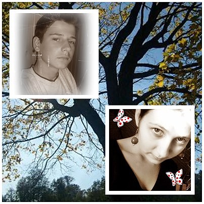 z sist