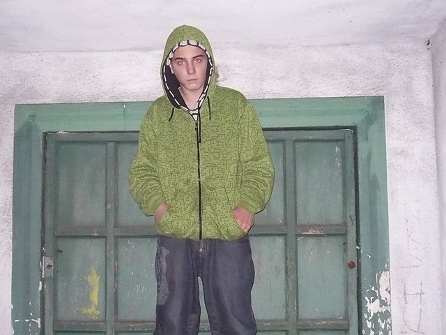 Wpis pitbul104