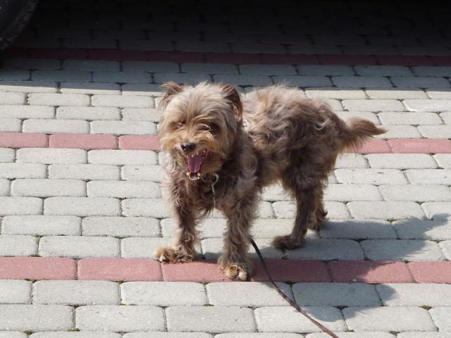 ziew :)
