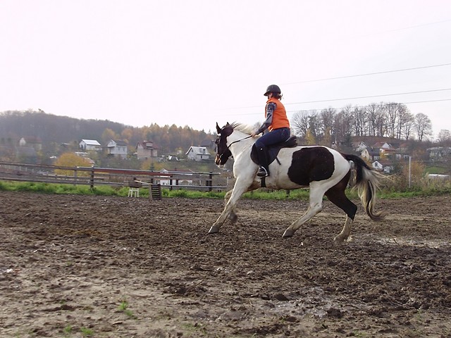Ritttta xdd