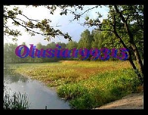 Wpis olusia199315