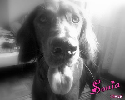 Sonia
