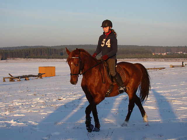 SOdKo ;**
