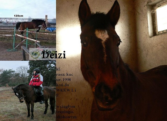 Deizi