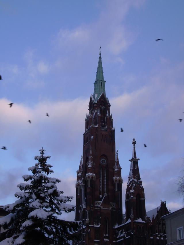Ptaki.