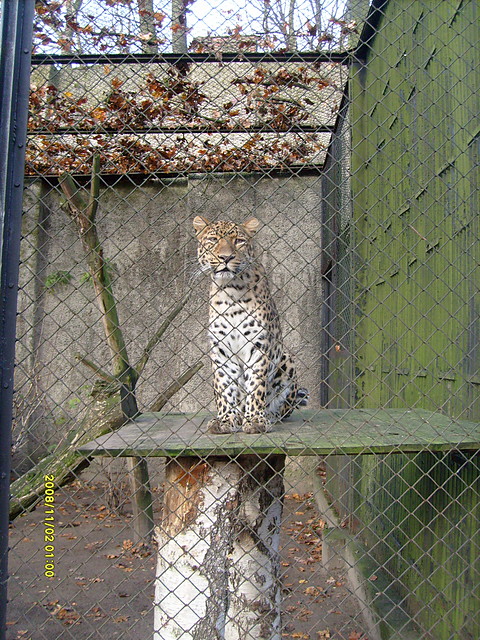 ZOO cz. 2