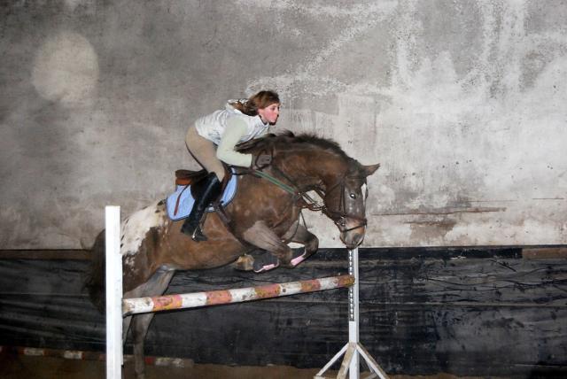 Wpis stables1
