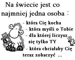 Wpis dawidol8