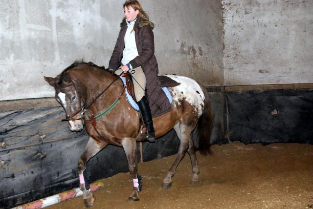 Wpis stables1