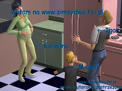 Wpis simsydwa