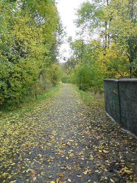 Wpis wszystkoalbonic