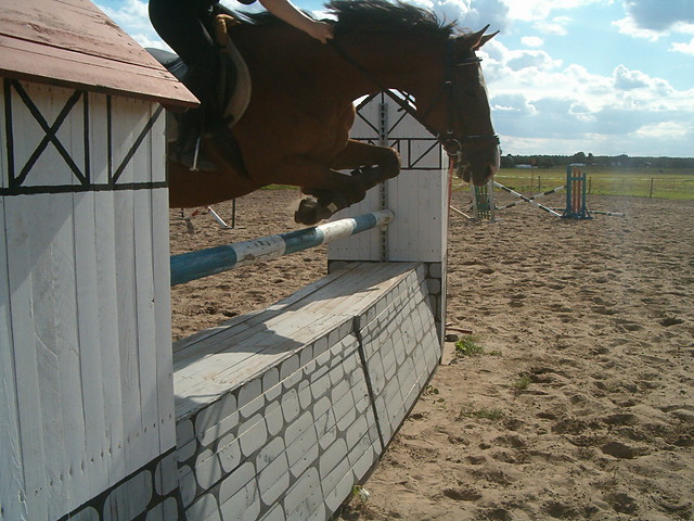 Gniady :)