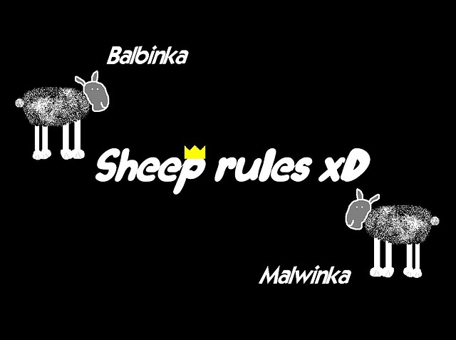 Sheep rules xD