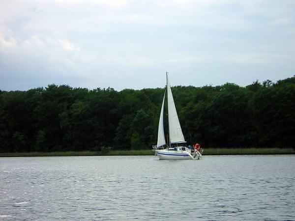 Przyroda