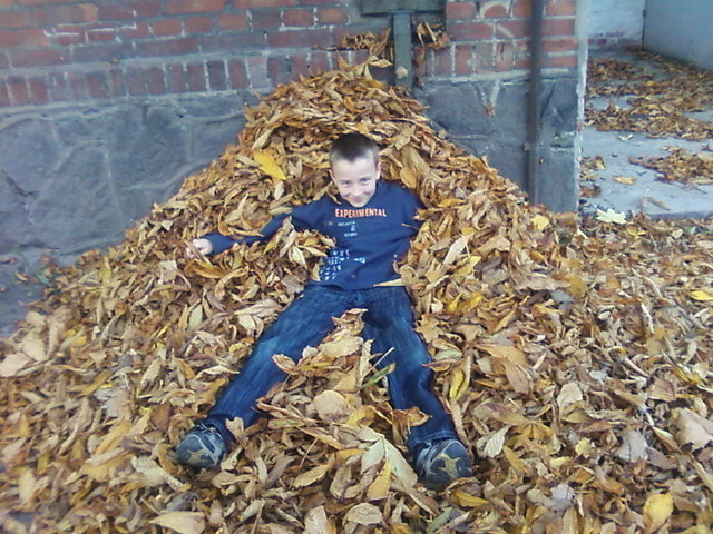 Licie ... ^^