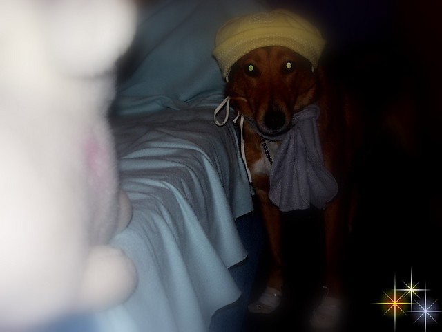 saba;*