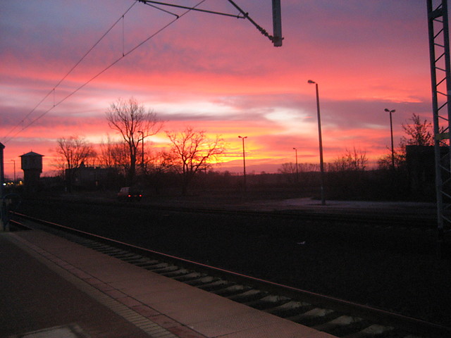 NT - betonowy busz.