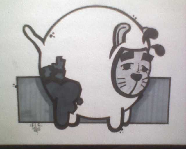 kot