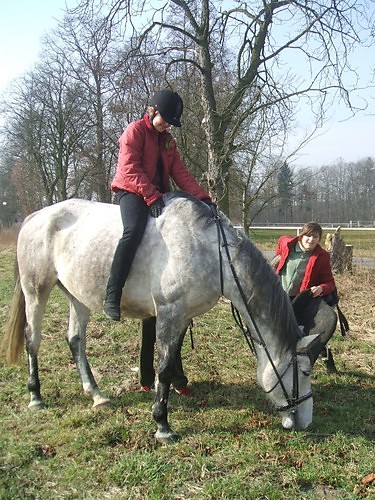 Wpis koniara095