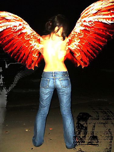 AnIoeQ ;*