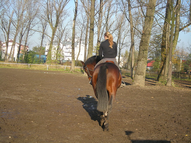 Wpis loolusia