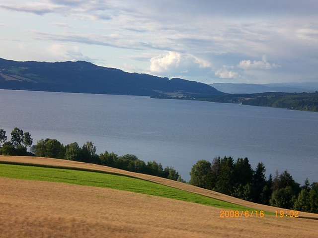 Wpis sylwusandkinia
