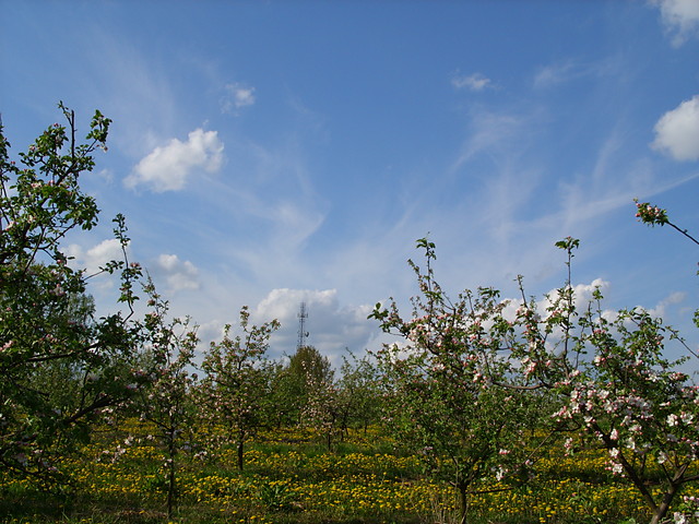 Natura