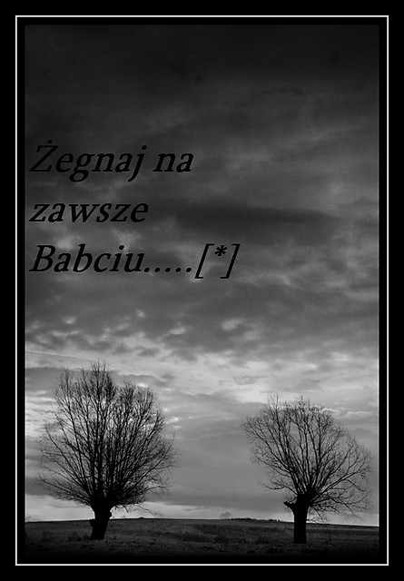 ..............[*]...............