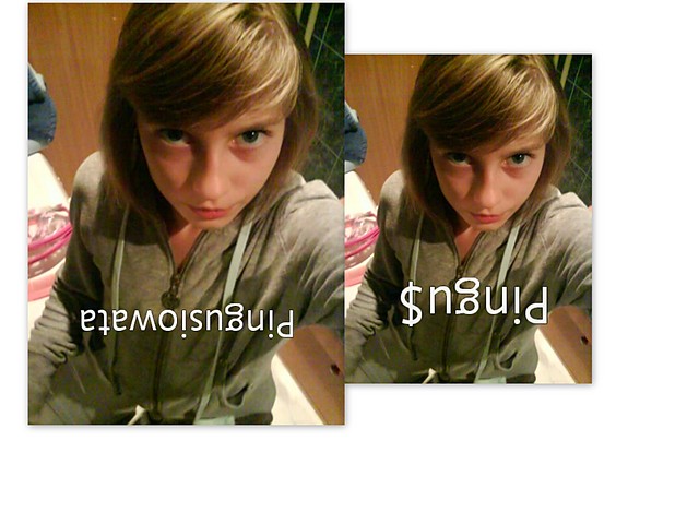 Wrbka na fbl