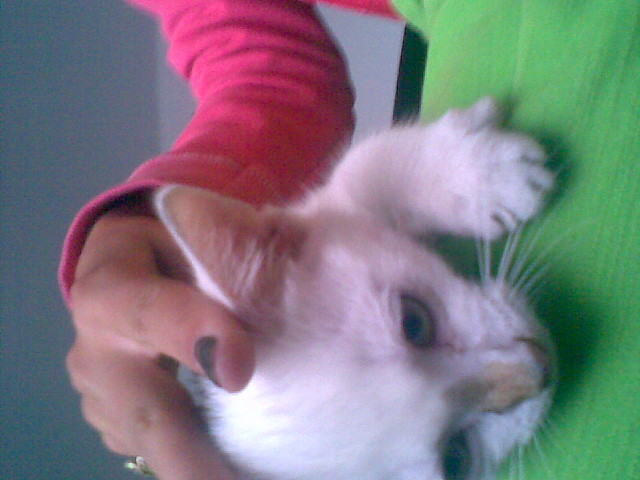 ojojoooojjj