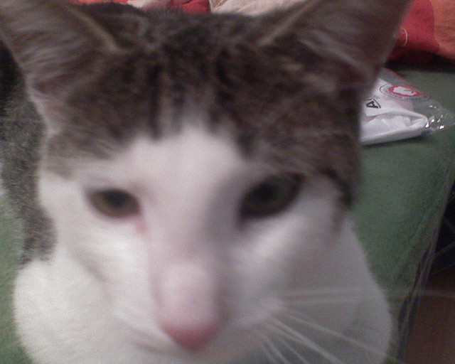 Oskar xD