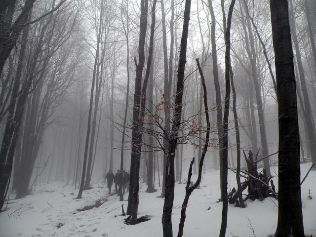 Na tropach Yeti. 
