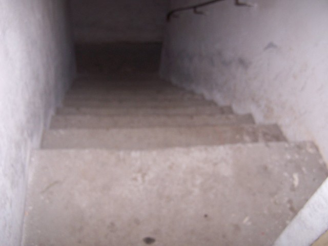 Wpis tanienormalna