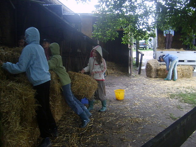 obz konny 2007