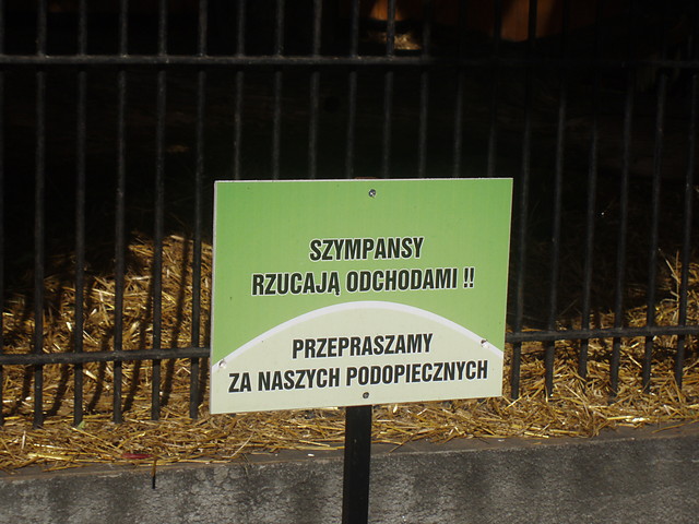 Pzdr dla szymona K.